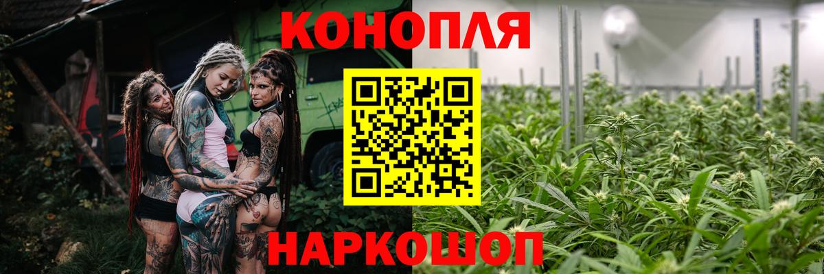 Конопля сатива Пыть-Ях